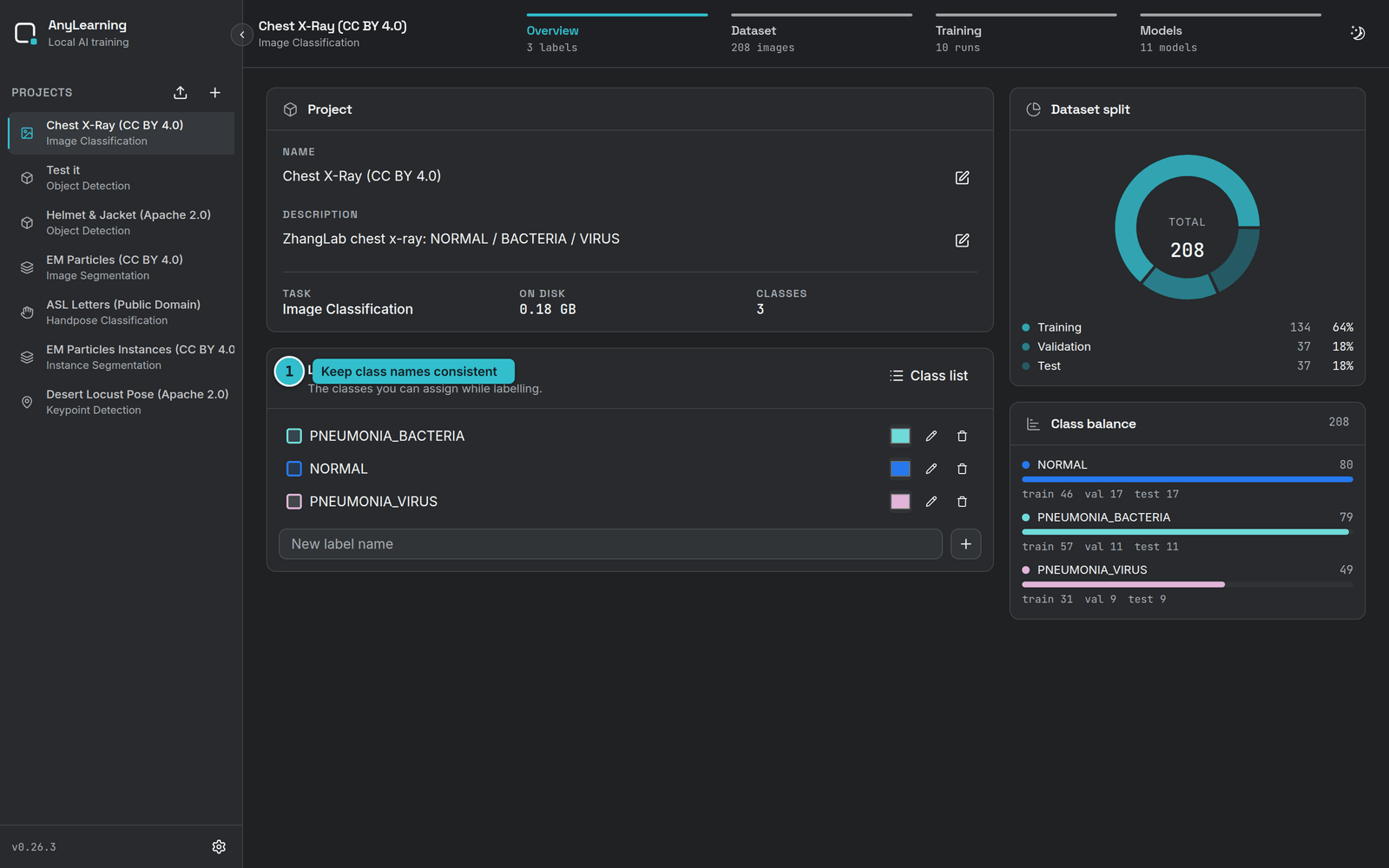 Defining the X-ray classes on the project overview