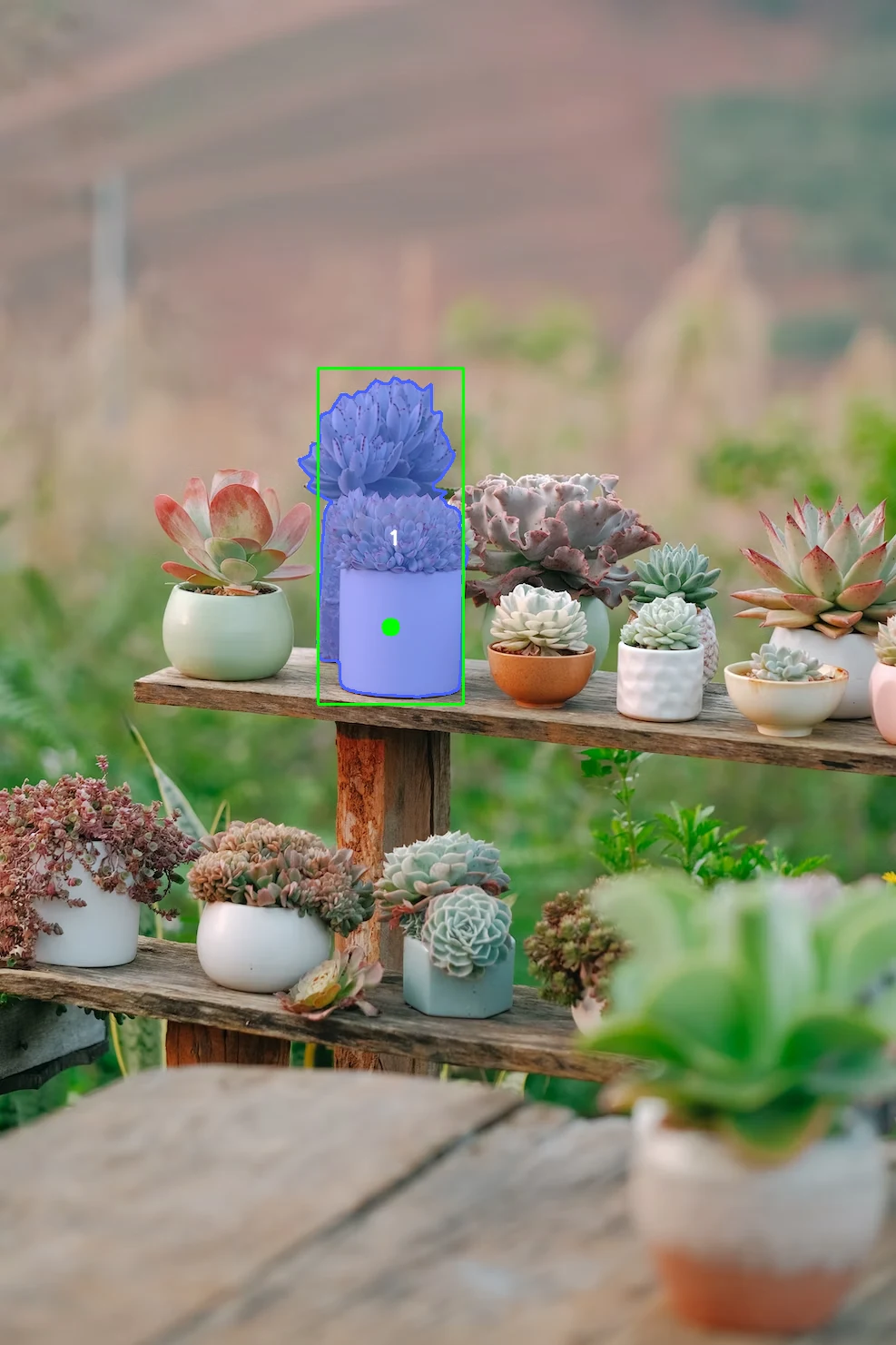 SAM3 rectangle and positive point select one refined plant mask