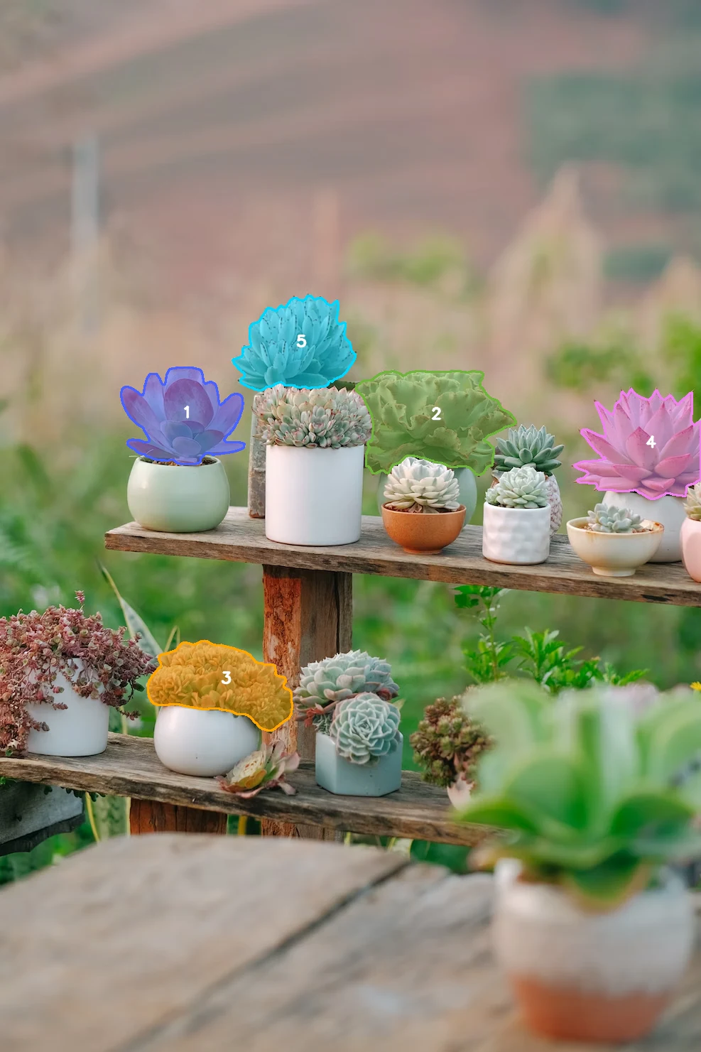 SAM3 plant text prompt capped to five masks