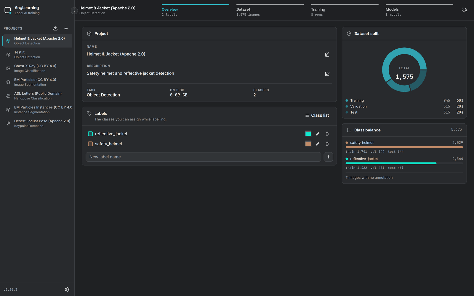 AnyLearning project overview showing class labels and dataset split